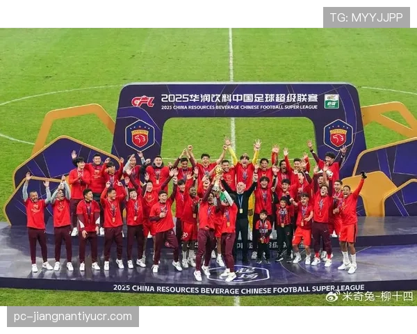 上海海港是否建立王朝尚待检验：对长期竞争格局的影响分析